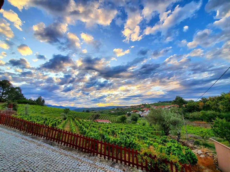 Casa Do Poco - Douro Hotell Peso da Régua Exteriör bild
