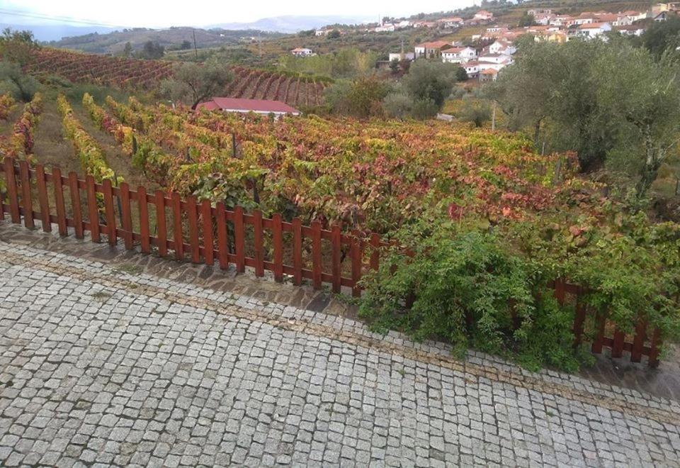 Casa Do Poco - Douro Hotell Peso da Régua Exteriör bild